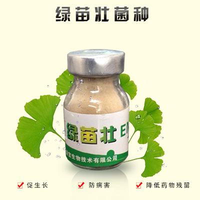 【綠苗壯】種植em菌種