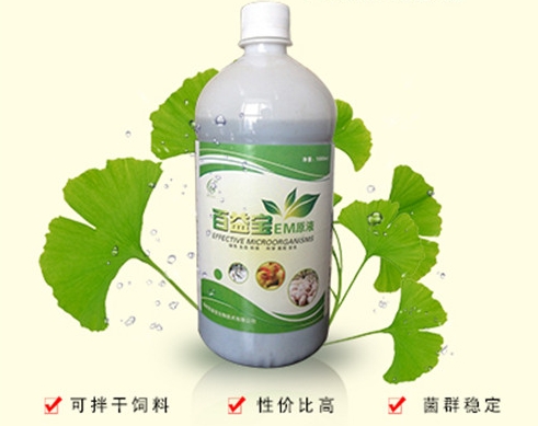 em原液在養(yǎng)野豬上的應(yīng)用