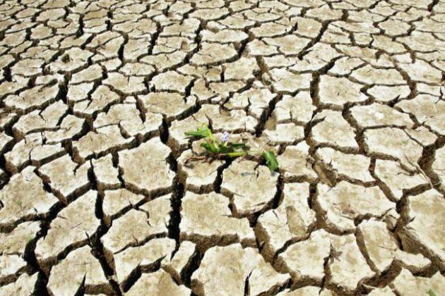 土壤板結(jié)問(wèn)題，這次終于講透了